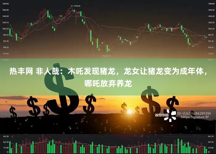 热丰网 非人哉：木吒发现猪龙，龙女让猪龙变为成年体，哪吒放弃养龙