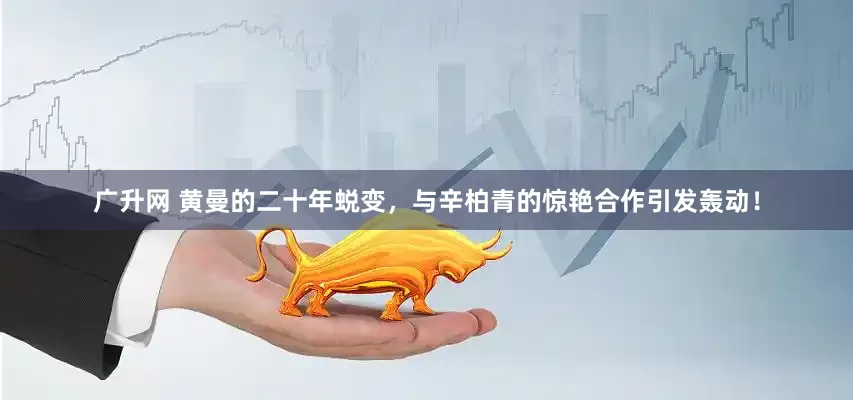 广升网 黄曼的二十年蜕变，与辛柏青的惊艳合作引发轰动！
