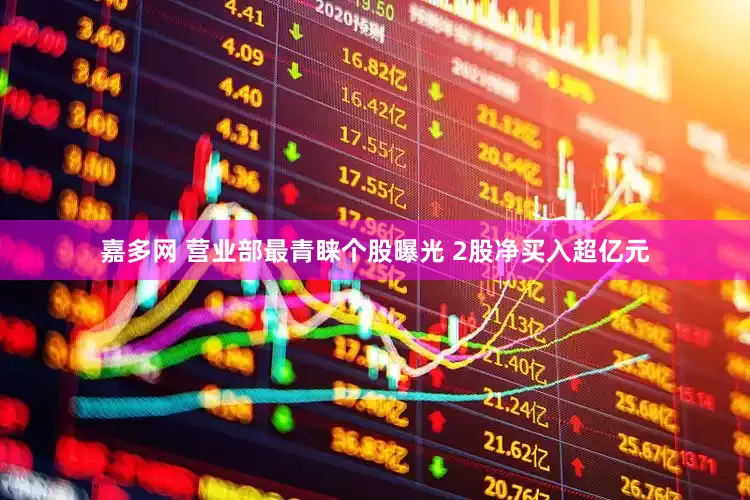 嘉多网 营业部最青睐个股曝光 2股净买入超亿元