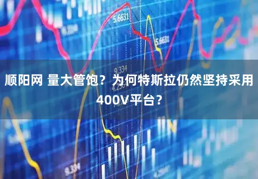顺阳网 量大管饱？为何特斯拉仍然坚持采用400V平台？